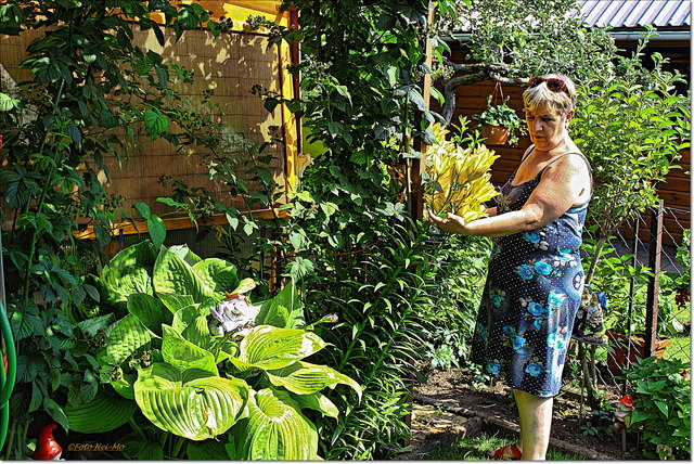 Mit recht stolz auf die Lilien...