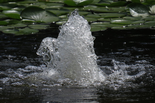 Es sprudelt und kühlt....
