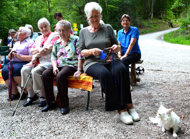 Vier ganz treue Besucherinnen der Messen der heurigen Höttinger-Bild-Woche mit Hündchen.