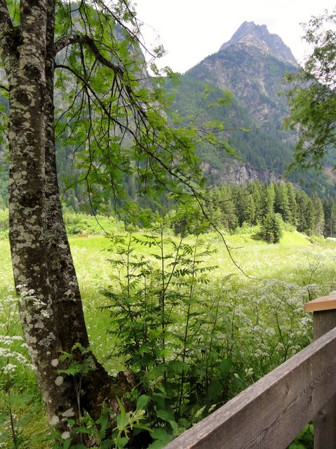 Schattiger Weg im Kaunertal
