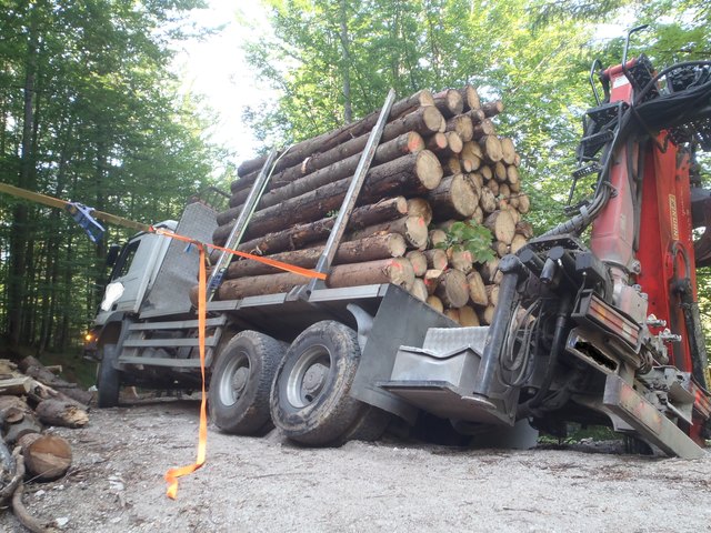 Mittels Zuggurten wurde der verunfallte Holztransporter von den Einsatzkräften gesichert.