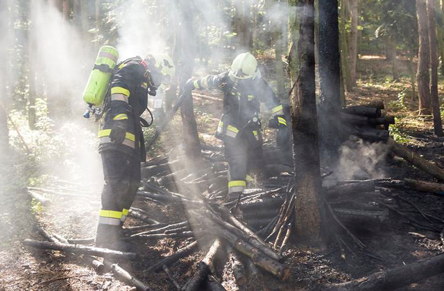 Die Feuerwehrleute des Bezirks riskieren mitunter ihr Leben beim Löschen eines Waldbrands.