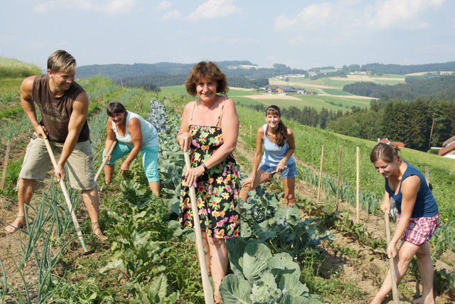 Rund dreiwöchentlich trifft sich eine Gruppe der "Wir Mühlviertler - Rohrbach" zur gemeinsamen Arbeit am Gemeinschaftsacker.