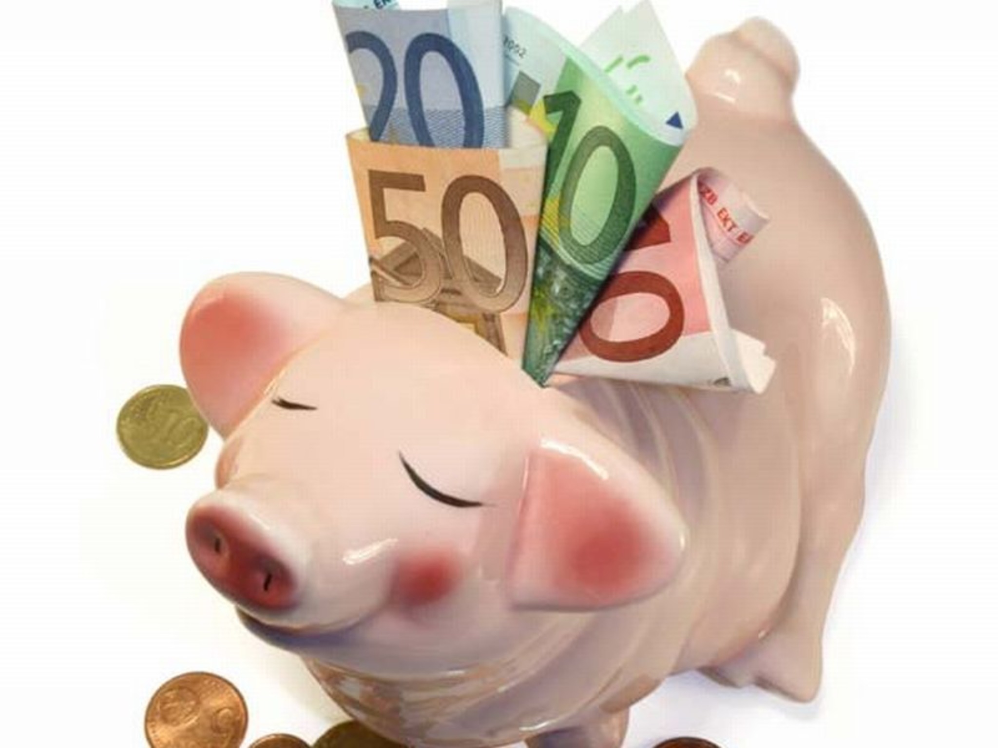 Spare In Der Zeit Dann Hast Du In Der Not Charli Wolf: Spare in der Zeit, so hast Du in der Not… - Favoriten