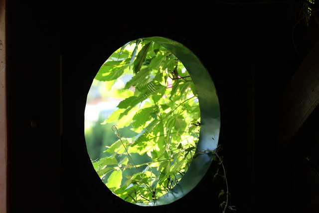 Diese Aufnahme habe ich heute früh, aus einer Gartenhütte aufgenommen. Ganz zart kann man das Spinnennetz sehen. Vollbildmodus vielleicht?