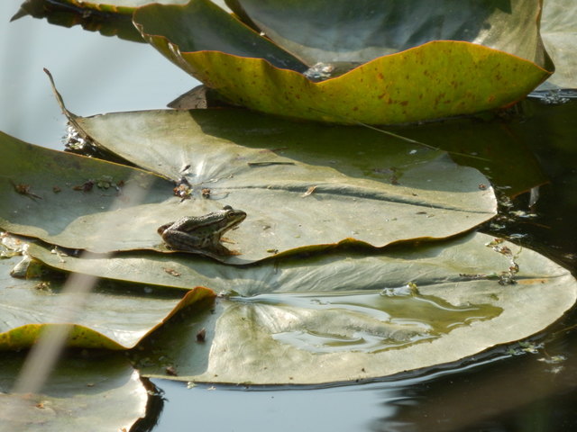 ...ich wurde gestern NICHT geküsst, obwohl ich extra gewartet habe!!!!.