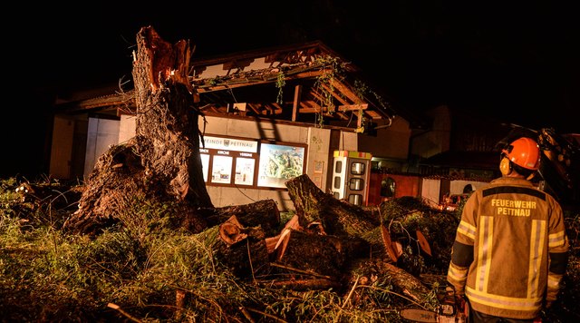 Die jahrzehntealte Trauerweide beim Gemeindeamt Pettnau fiel dem Unwetter zum Opfer. | Foto: ZOOM-Tirol