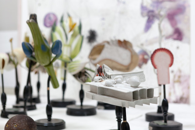 Botanische Modelle aus der Sammlung Hubert Scheibl.