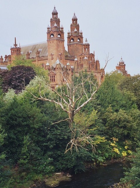 Man könnte meinen, der Baum hängt in der Luft
