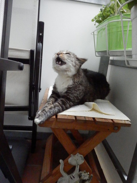 ... Petzi hätte es gern nicht so heiß....