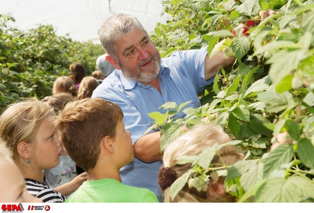 Meisteranbauer Wilhelm Hoffelner aus Kremsmünster erklärt den Kindern der VS St. Aegidi den Weg der Himbeere. | Foto: GEPA/Sporthilfe