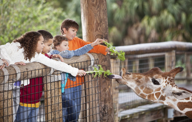 http://www.volkshilfe.net/de/news/zoofahrt-muenchen-2015.html | Foto: Volkshilfe