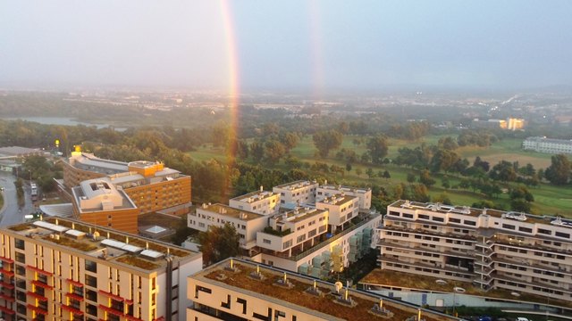 Regenbögen beim Wachsen