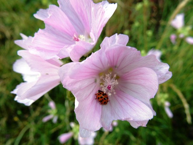 Wer kennt meine Punktezahl?