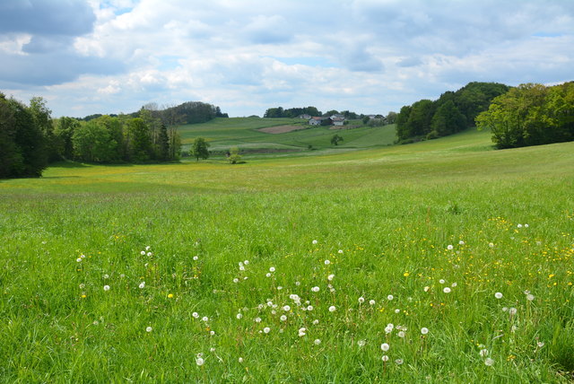 Gepflegte Landschaftsbilder prägen den Bezirk und machen Wanderungen zum reinsten Vergnügen (hier Eggelsberger Gletscherrandweg).