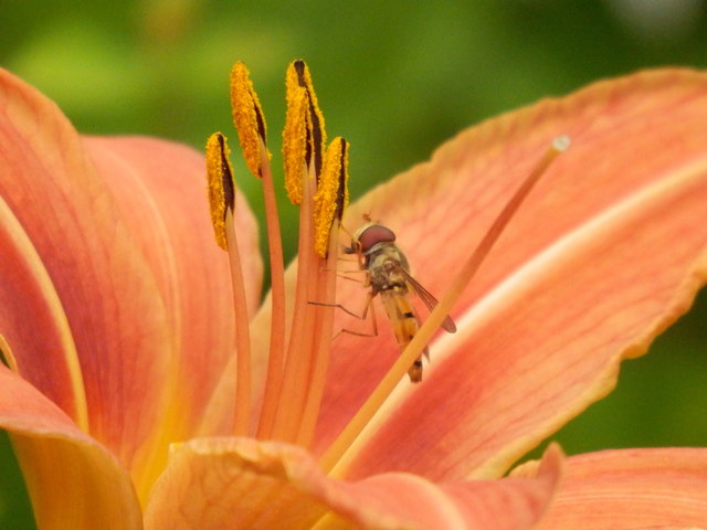 ... sitzen ist bequemer als schweben....