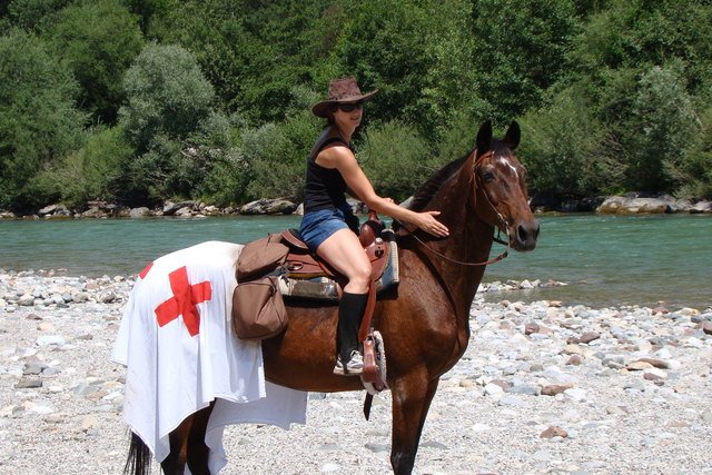 Das Rettungspferd ist eingetroffen, für alle Fälle gerüstet....