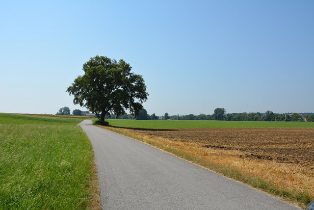 Der Weg ist das Ziel (Teilstück Aching - Burgkirchen).