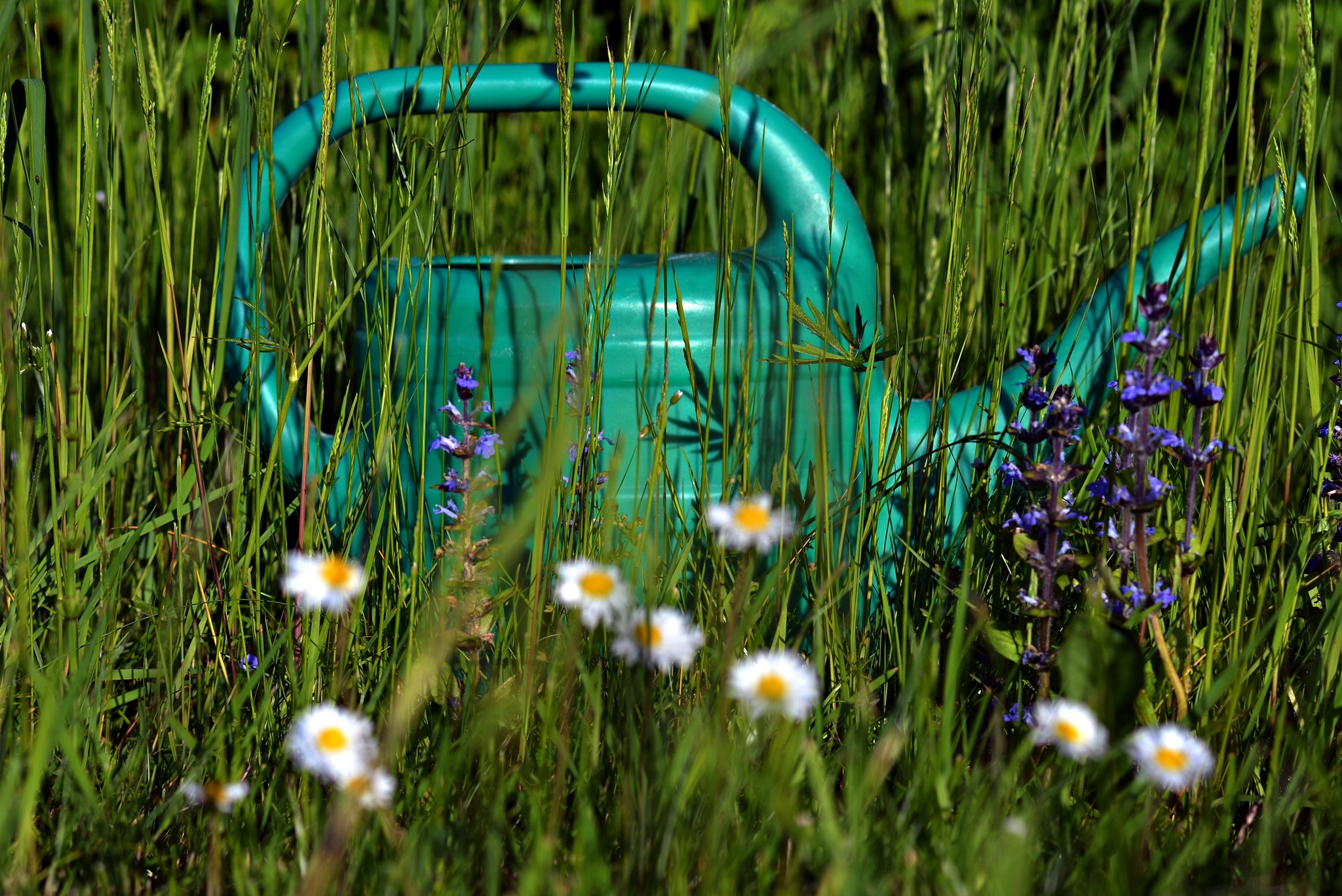 Nicht vergessen es kommt sicher wieder eine Hitzewelle - Salzkammergut