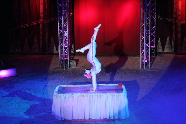 Mit einem neuen Programm wartet der Circus Frankello in Rottenmann auf. | Foto: Circus Frankello