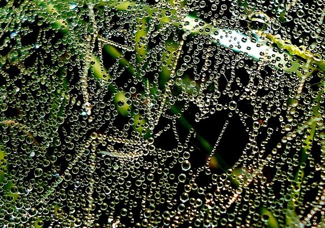 Das Herz ist da, immer offen für dich, wenn dir daran liegt, in es hineinzugehen.  Ramana Maharashi