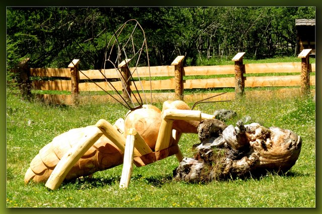 Sie saugt grad den Nektar (das nächste Bild zeigt es aus der Nähe)