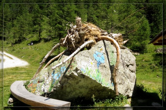 Nicht alle Bienen sind auf den ersten Blick als solche zu erkennen