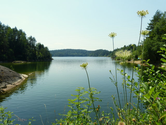 Forstsee
