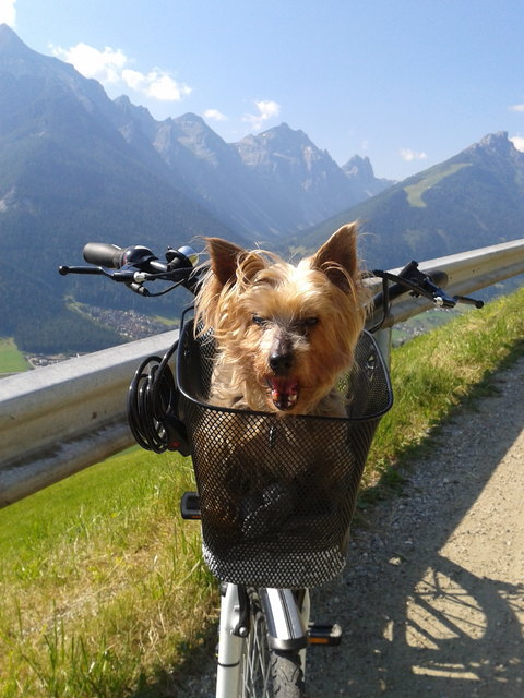 Per Fahrrad-Taxi ins kühle Hochgebirge