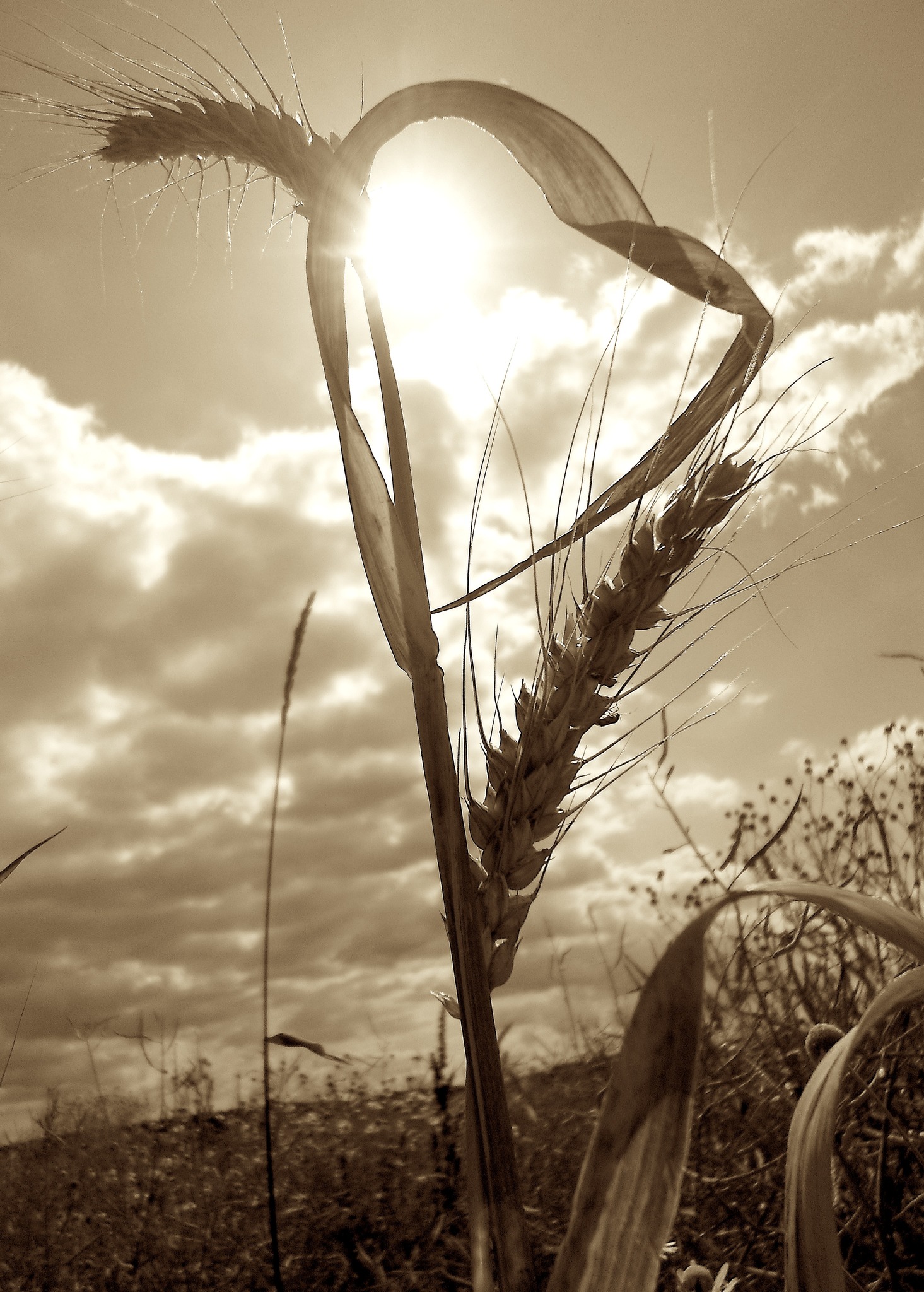 Das Licht im Herzen Oberwart