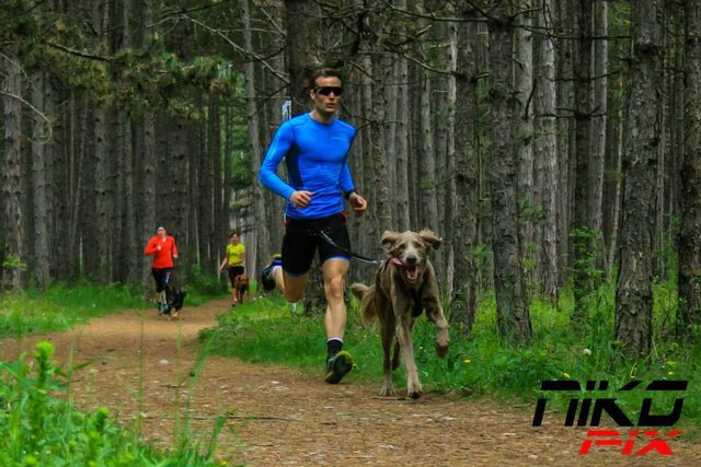 Markus & Finn, Canicross © SpeedRunners.at