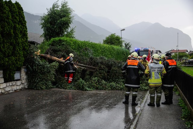 Inzing: Baum blockierte den Angerweg | Foto: zeitungsfoto.at