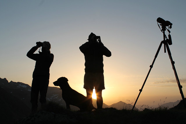 Tiroler Jägerschaft erfasste im Juli tirolweit die Steinwildpopulation, um die
Bestandsveränderung zu untersuchen.