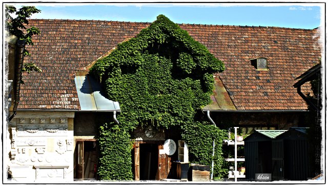 Blickpunkt Hinterhof