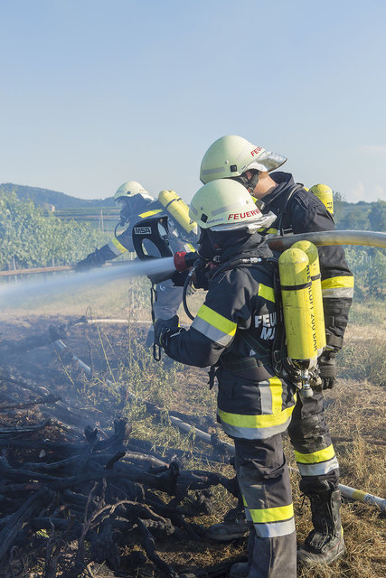 Flurbrand mit gelagerten Rebstöcken | Foto: FF Mautern
