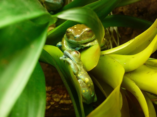 Wahre Liebe braucht keine Worte!