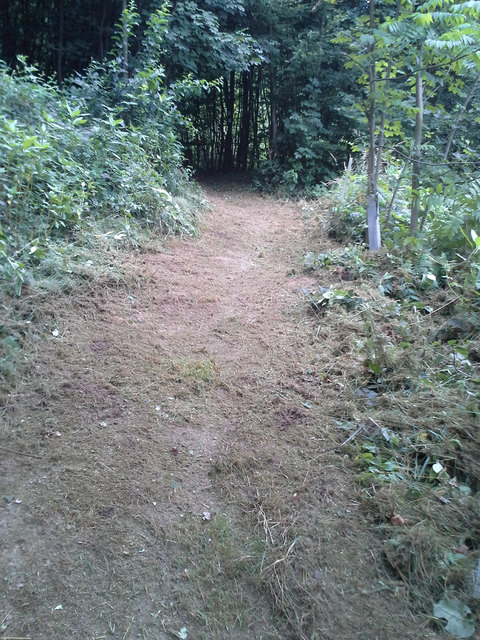 Der Steig gehört zu der leichteren Kategorie der heimischen Wanderwege. | Foto: Privat