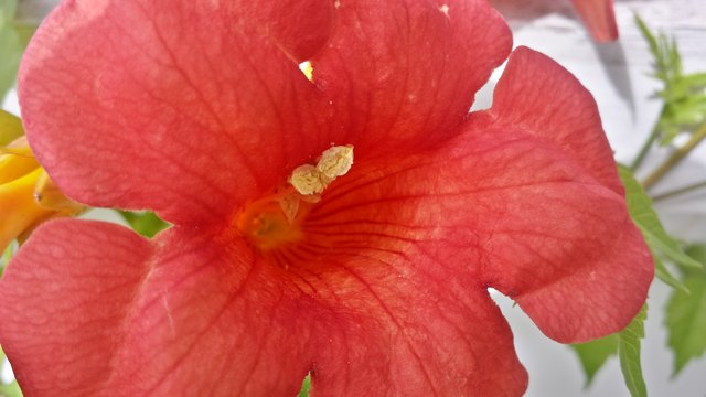 Es war eine riesen Freude für mich das telefonische Hallo und die Grüße zu hören. Gleichzeitig werde ich aus gesundheitlichen Gründen nur sporadisch hier sein.Fotografieren ist für lange Zeit gestrichen :-((((((