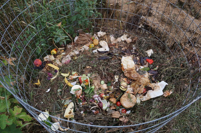 Lebensmittel im Wert von 300 Euro werfen Niederösterreichs Haushalte im Durchschnitt pro Jahr weg.