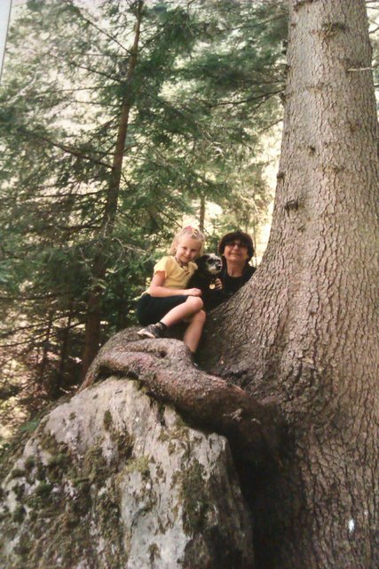 inmitten der wilden Natur, bieten die klammernden Wurzeln der stattlichen Bäume, jederart Sitzplätze...