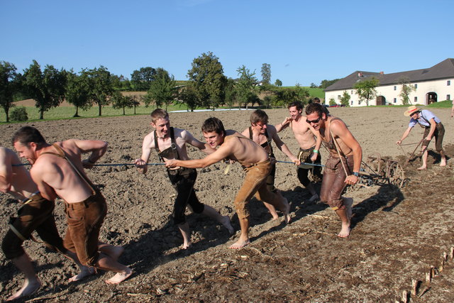 Foto: Foto: LJ Niederwaldkirchen