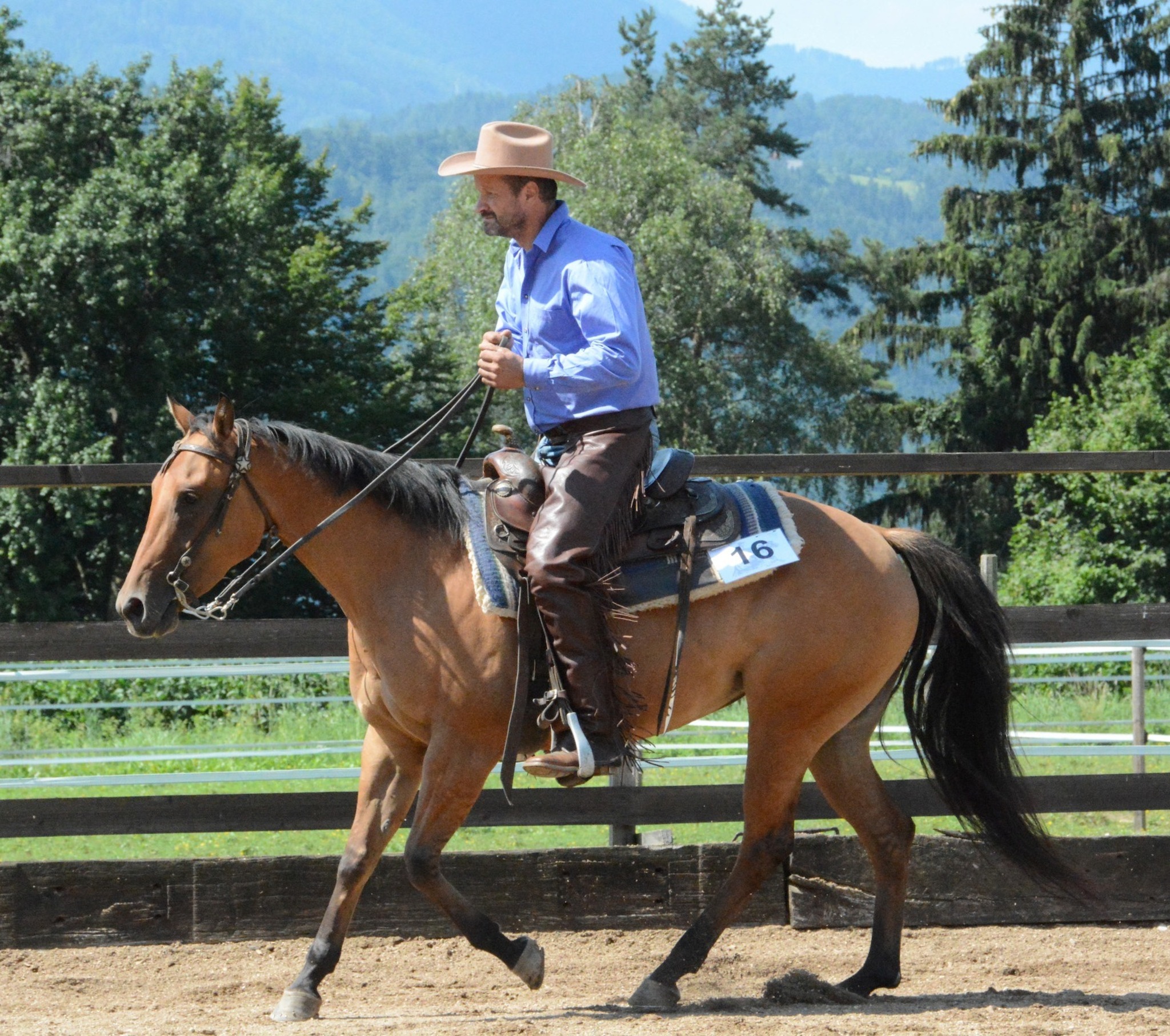 Landesmeisterschaften im Westernreiten - Völkermarkt