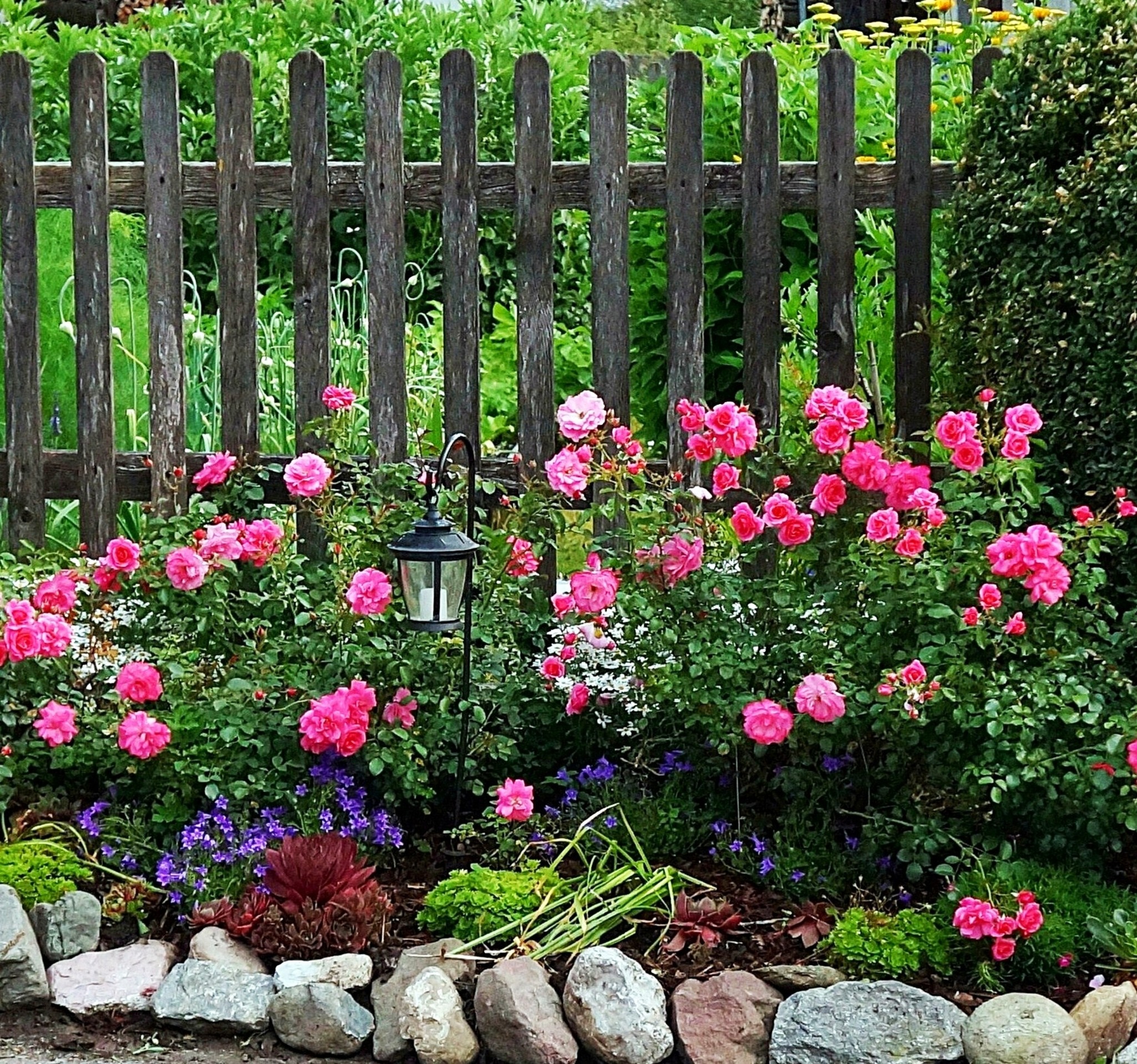kleiner Rosengarten - Kufstein