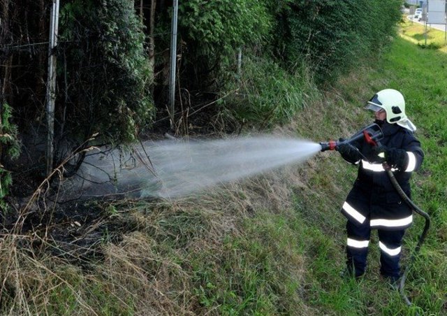 Foto: BFKDO Lilienfeld