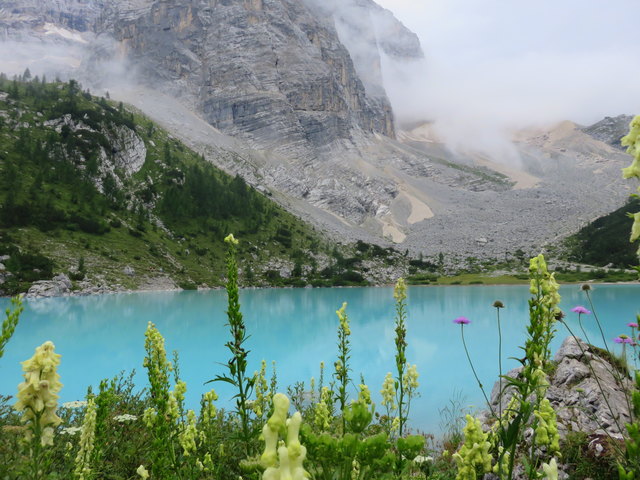 hier wächst der Fingerhut und viele andere Bergpflanzen um den See einfach schee