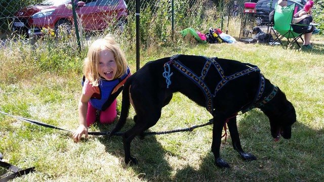 Ein Hundeleben kann so schön sein