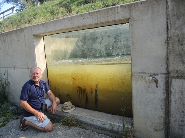 19 Fischarten wurden am Raab-Aufstieg bereits registriert, weiß Joachim Tajmel vom Naturschutzbund.