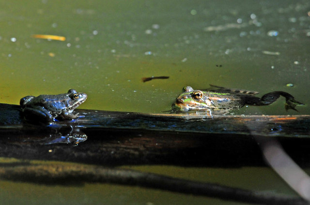 "Du kannst schon reinkommen, das Wasser ist schön warm!°
