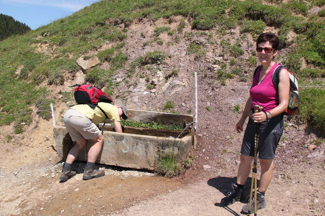 Abkühlung auf der Alm