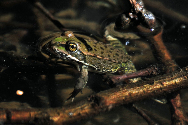Angenehm, das kühle Nass!